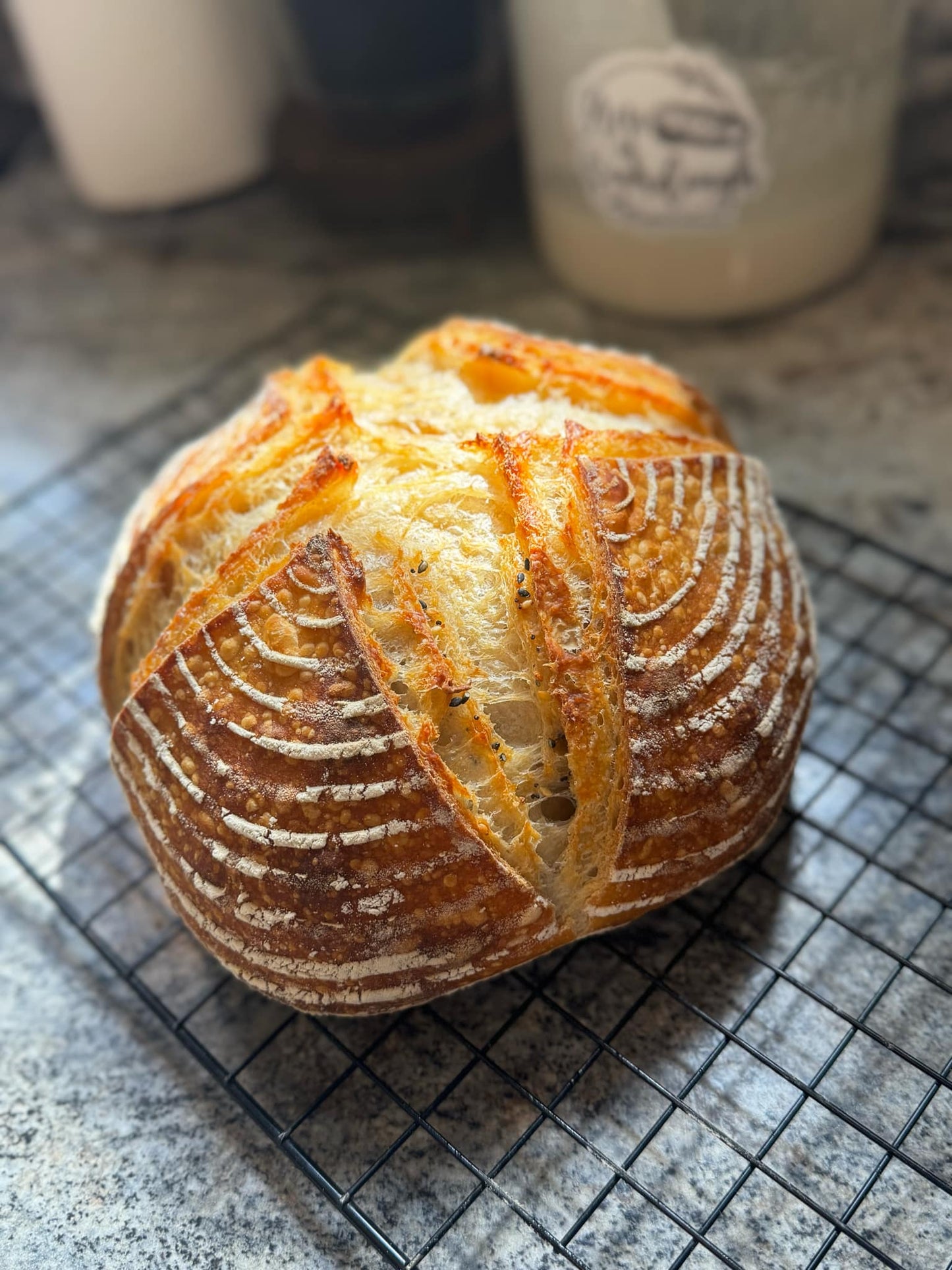 Everything Bagel Boule